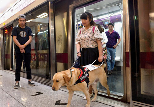银河娱乐“导盲犬”可乘坐北京地铁(图1)